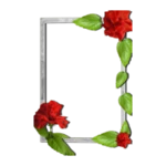 floral photo frames android application logo